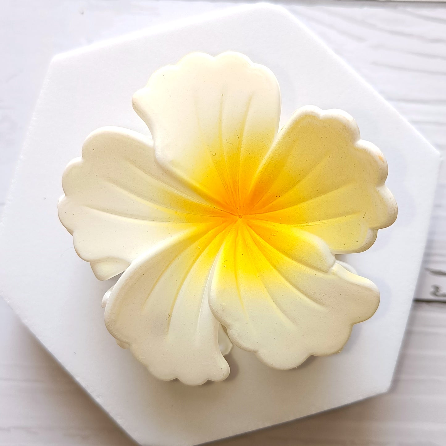 Elegant Frangipani Flower Hair Claw